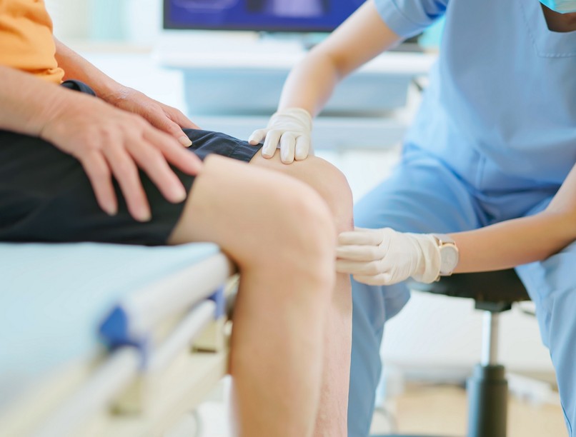 porckopás, kutatás, porc