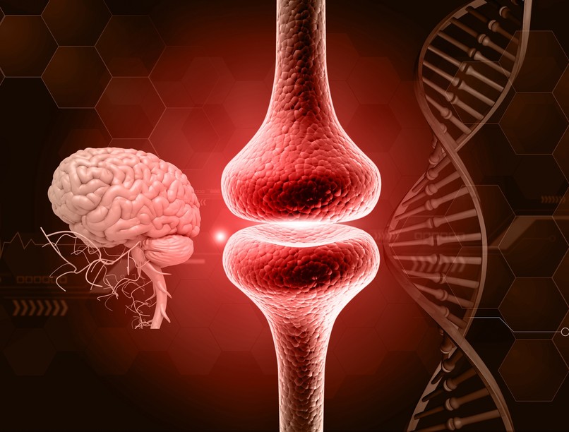 időskori memóriazavar neurológiai betegség kezelés kutatás