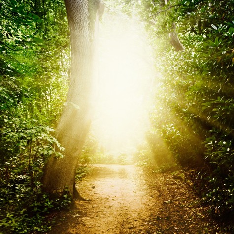 Milyen érzés meghalni? A kutatók szerint nem olyan rossz, mint hittük című cikk nyitóképe