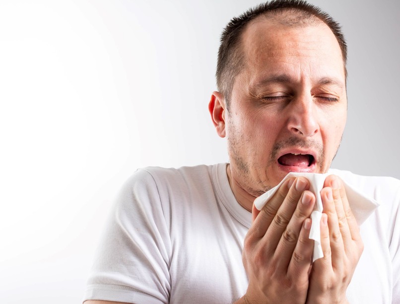 gyógynövények echinacea hatás megfázás immunrendszer