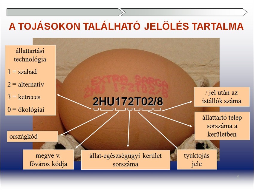 7 részből álló számsor és jelentése a tojáson - Forrás: portal.nebih.gov.hu