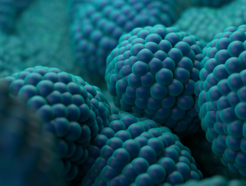 agressziv prosztatarák vizsgálat teszt kutatás