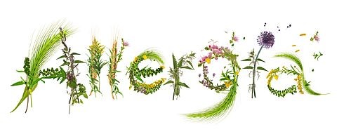 A szénanátha és a csalánkiütés korszerű kezelése