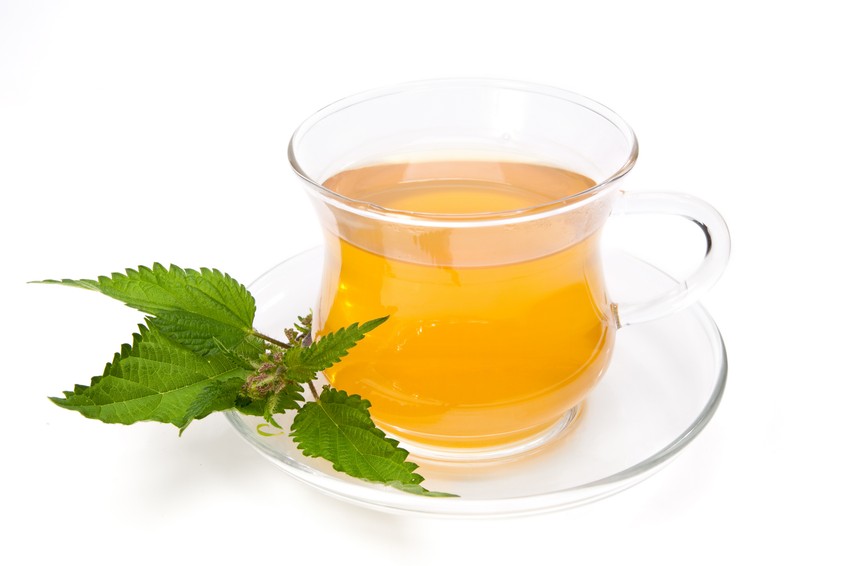 A csalántea csökkenti a gyulladást