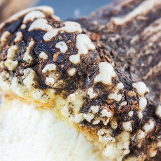 Oszteokondromatózis tünetei, vizsgálata és kezelése című cikk nyitóképe