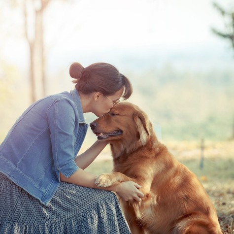 Ezekből a jelekből tudhatja, hogy a kutyája szereti Önt című cikk nyitóképe