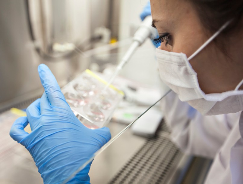 koronavírus, gyógyszer, covid, mir 19, orosz gyógyszer