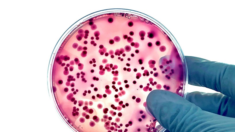 antibiotikum rezisztencia vírus szuperbaktérium