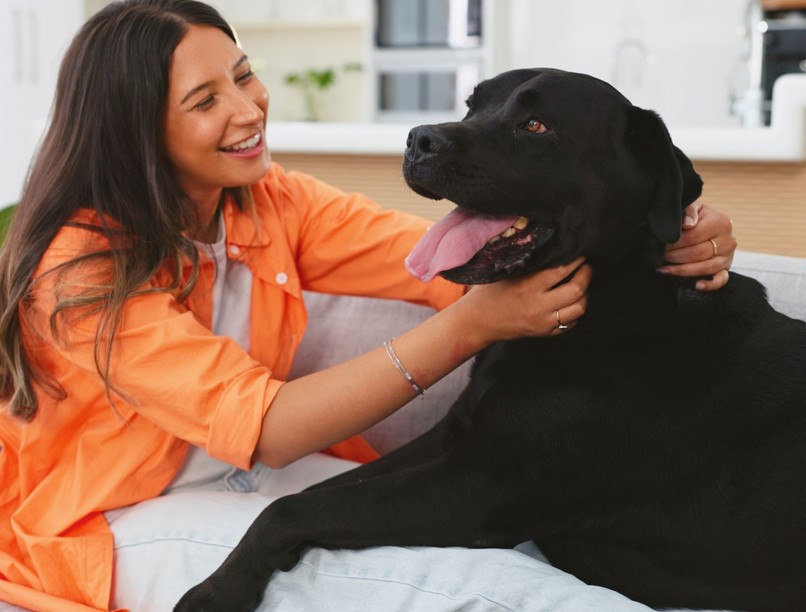 állatokkal beszélgetni mit jelent