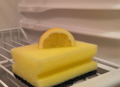 Ezért tesznek egyre többen szivacsot a hűtőbe című cikk nyitóképe