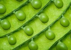 A természetes éléstár - még egyszer a makrobiotikáról...