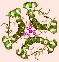 Álom vagy valóság: rövidesen jöhet az inzulin tabletta!