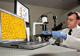 Vége a vírusoknak?! - egy ígéretes kutatási eredmény...