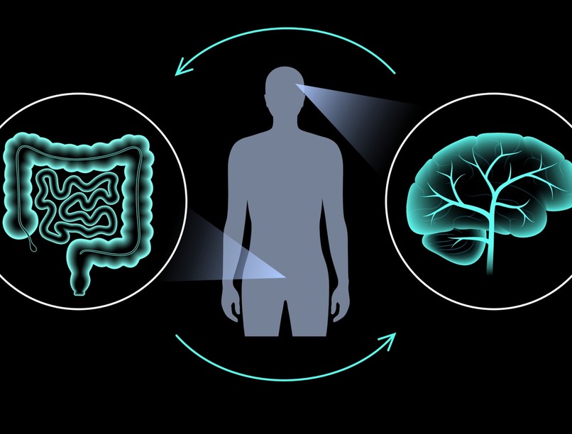 bélflóra, immunrendszer, agy, probiotikum, prebiotikum, előadás