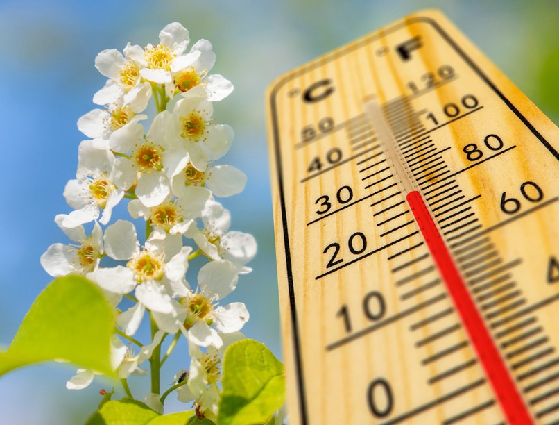 orvosmeteorológia, meteorológia, fronthatás, időjárás-érzékenység, frontok