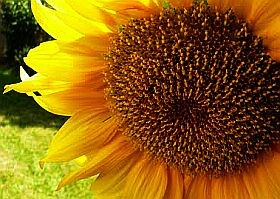 Van biztonságos napozás?