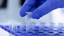 Új terápiát fejlesztenek magyar kutatók a COVID és az influenza ellen című cikk nyitóképe
