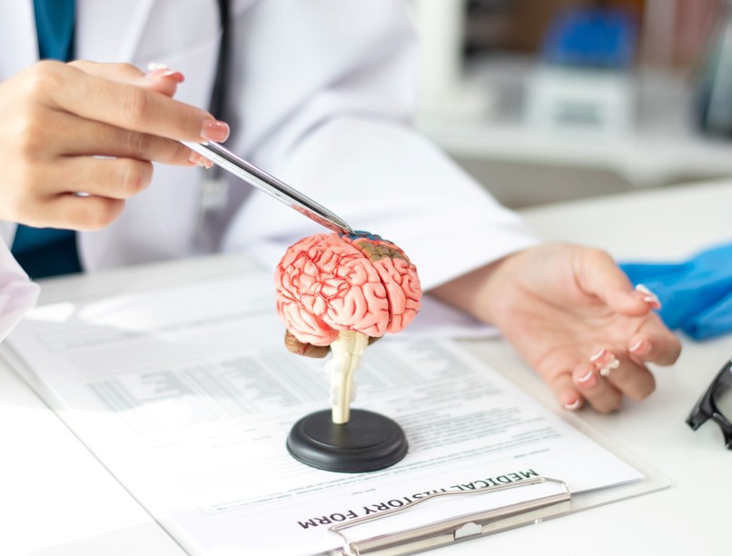 alzheimer-kór kutatás oka tanulmány