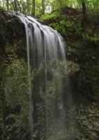 Inkontinencia-szűrési hónap