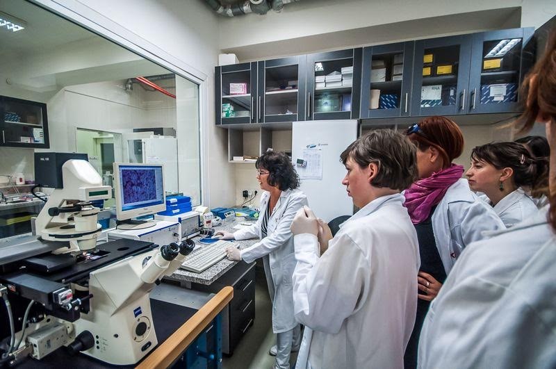 Génkutatás a célzott rákgyógyításért