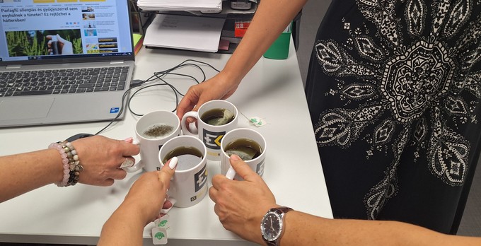 Hatásos-e a csalántea parlagfű allergia ellen? Kipróbáltuk című cikk nyitóképe