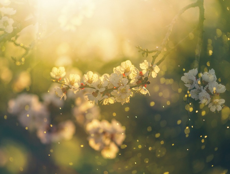 orvosmeteorológia, eső, front, fejfájás