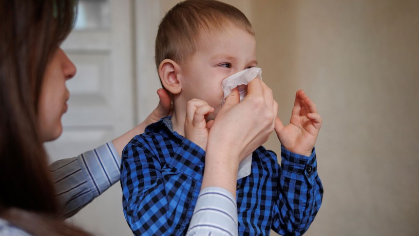 orvos válaszol poratka allergia gyerek kezelés