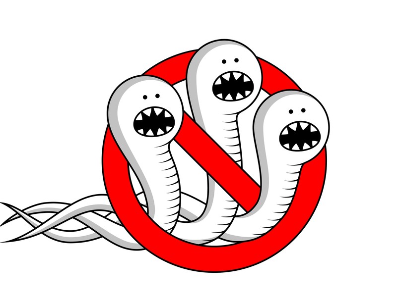 cérnagiliszta tünetei viszketés gyermek betegség, orvos válaszol