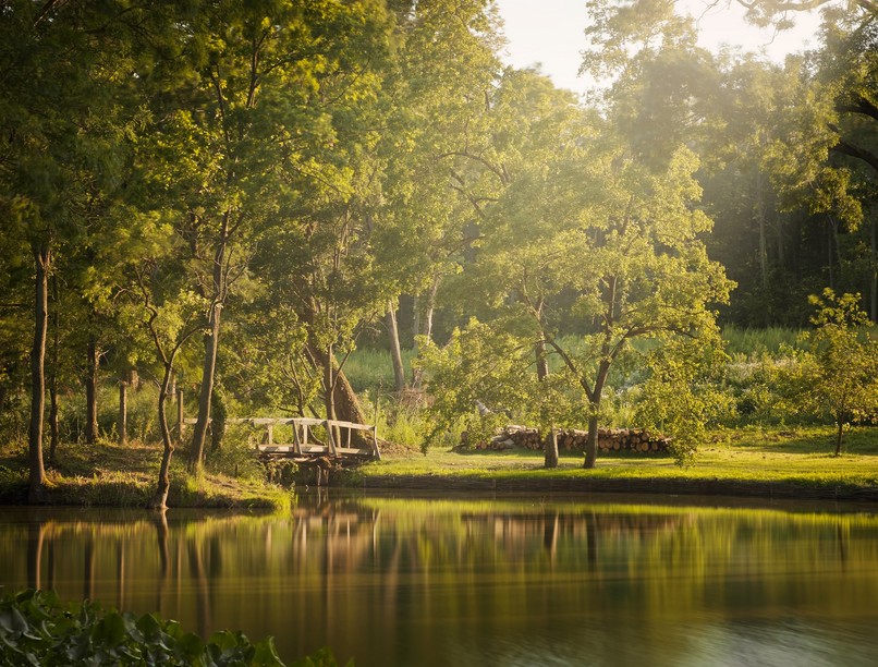 életmentés székesfehérvár újraélesztés