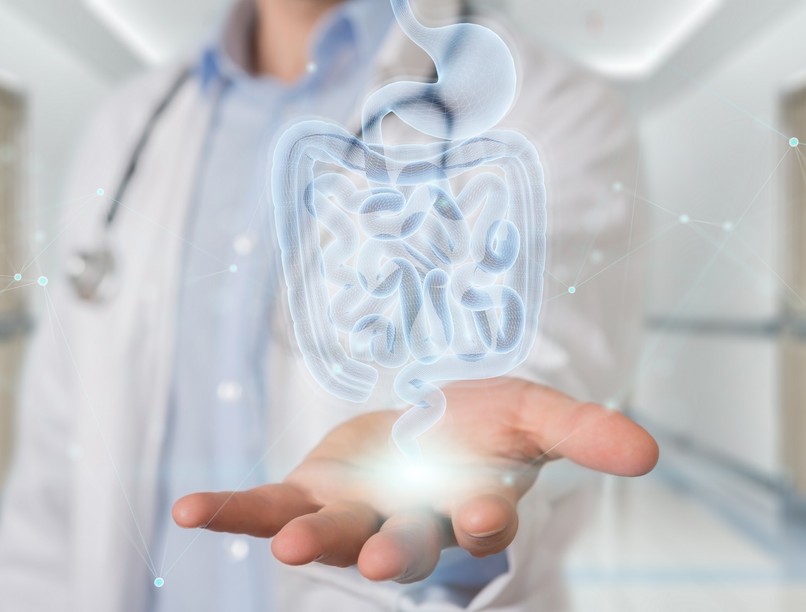 bélflóra, mikrobiom vizsgálat, eredmény jelentése