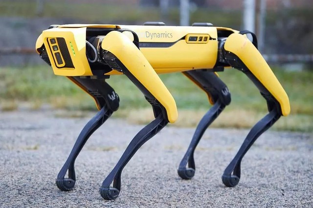 Esztergomi robbantás: ilyen robotkutyával elkerülhető lett volna a tragédia