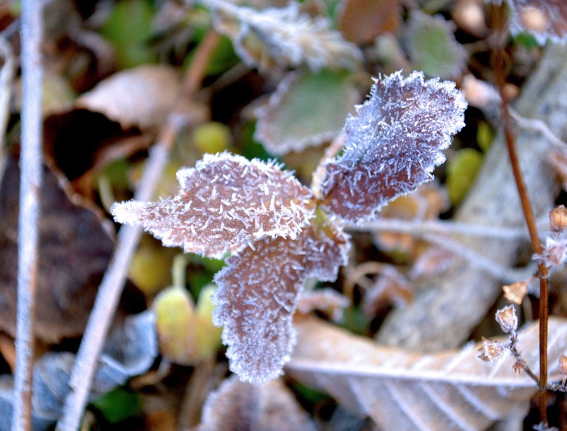 időjárás, fagy, front, kedd