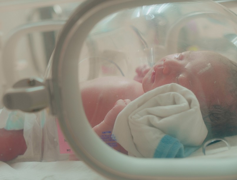 hírek Peter Cerny Alapítvány