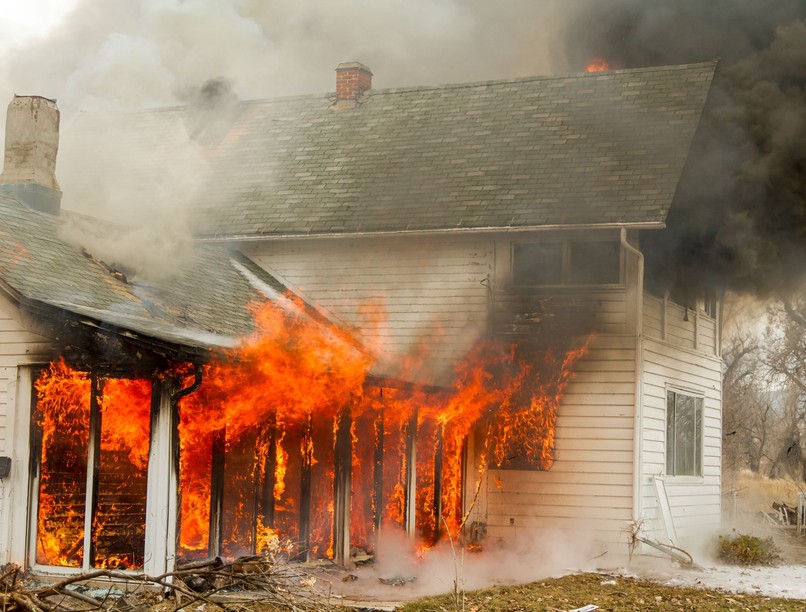 füst szikra meghalt férfi macska hírek