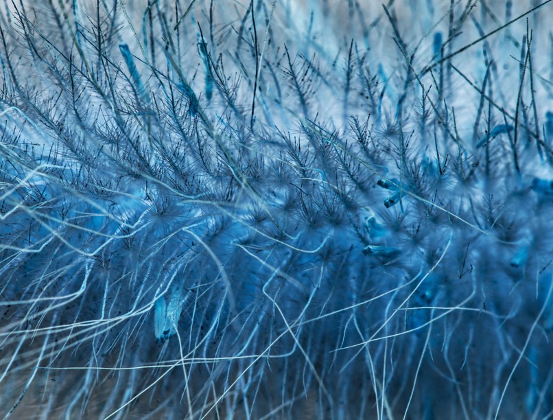 nanotechnológia nanoszálak rákkeltő technológia