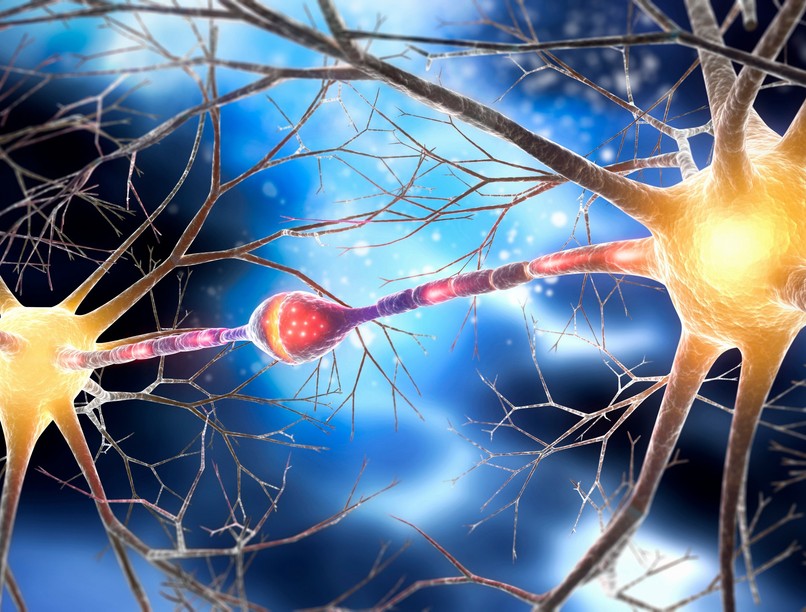 idegsejtek kommunikációs kód axon