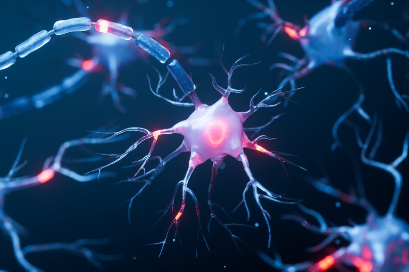 Idegsejttípusok teljes RNS-készletének meghatározására alkalmas módszert dolgoztak ki magyar kutatók