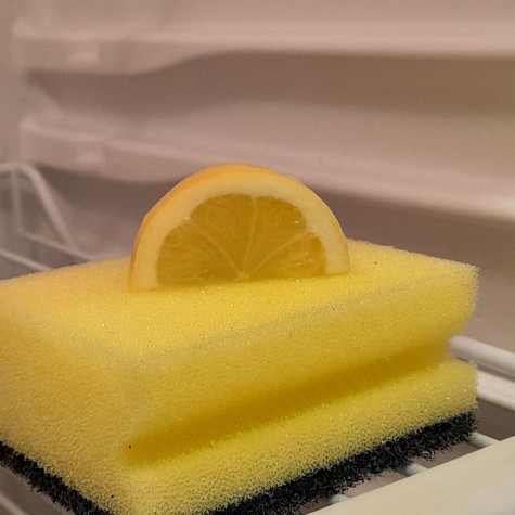 Ezért tesznek egyre többen szivacsot a hűtőbe című cikk nyitóképe