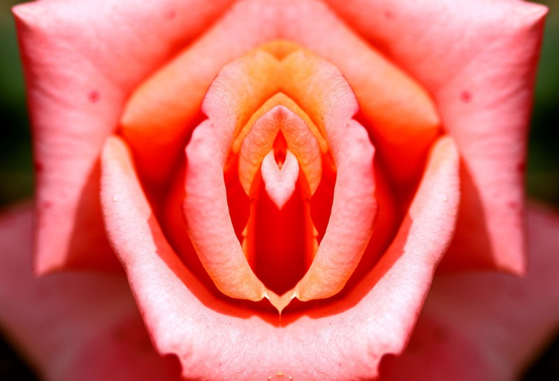 Ozempic-vagina: amikor a gyors fogyás az intim zónát is megváltoztatja