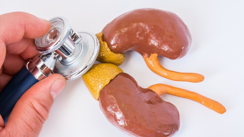 mellékvesekéreg daganat, mellékvesekéreg tumor, mellékvesekéreg rák, diagnosztika, innováció, kutatás, Semmelweis