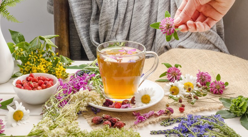 Érelmeszesedés, magas koleszterinszint ellen ezek a leghatékonyabb gyógynövények