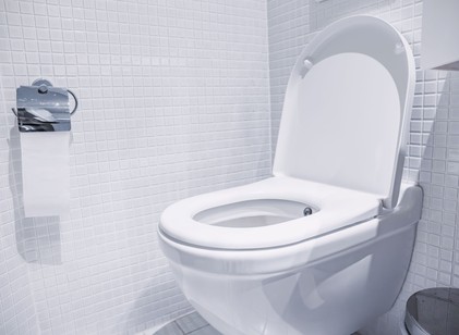 Miért dobnak egyre többen jeget a WC-be? Meglepően hasznos háztartási trükk lehet című cikk nyitóképe