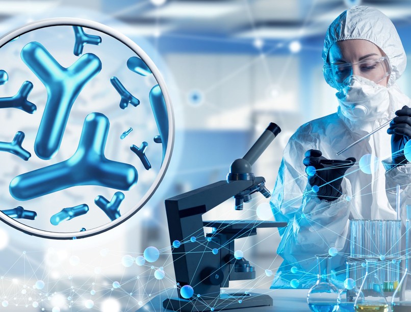 legjobb bélflóra helyreállító