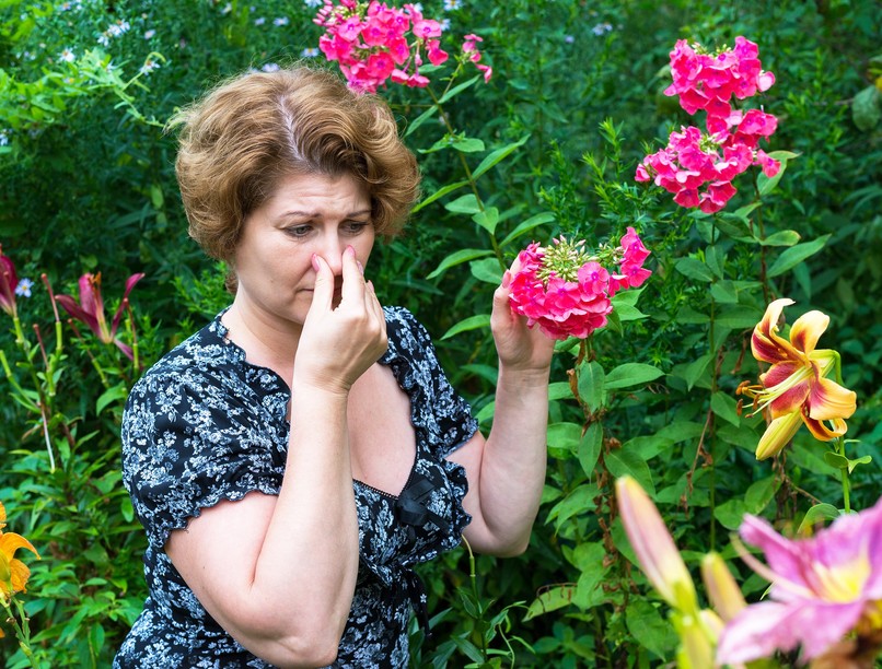 allergia mi virágzik most