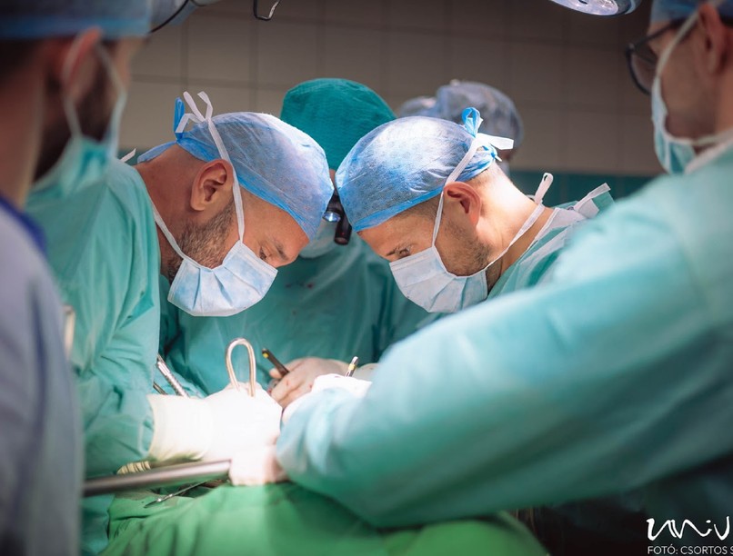 méhátültetés pécsi tudományegyetem orvos meddőség