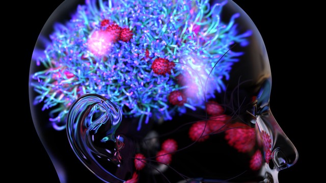 Koronavírus: ilyen, ha bejut az agyba