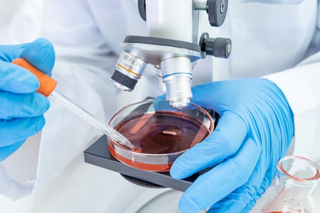 Halálos kórházi szuperbaktérium eheti meg a betegek kötszereit, implantátumait és varratait