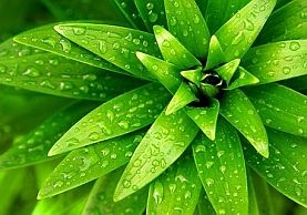 Olcsó légtisztítás otthonra