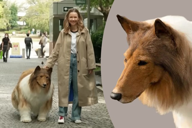 "Amikor kutya vagyok, mindenki kedvel" Megsétáltatták a férfit, aki kutyaként akar élni