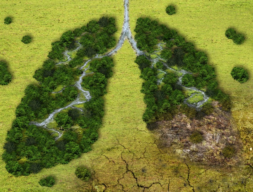 klímaválság, fenntarthatóság, who, pintér sándor